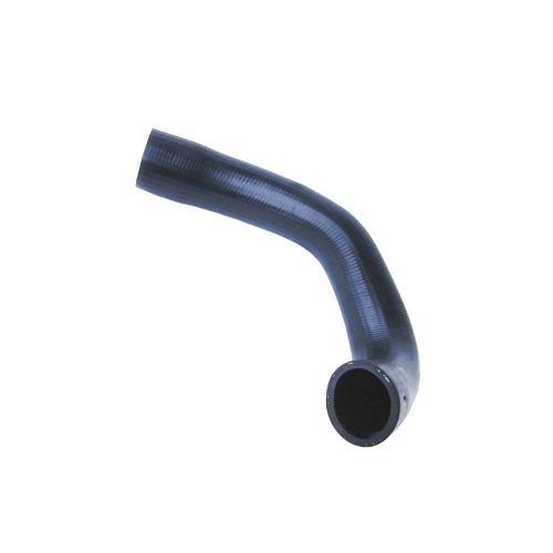 Hose Radiator Lower C41097