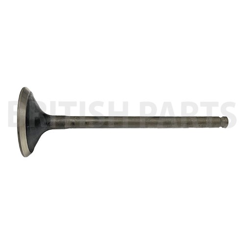 Valve-Exhaust AJ810106