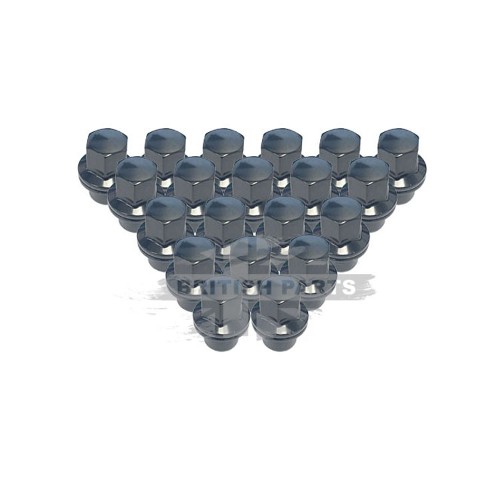 Black Alloy Wheel Nut Set BPC382