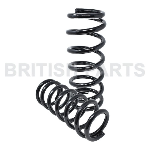 Spring-Rear Spring Kit