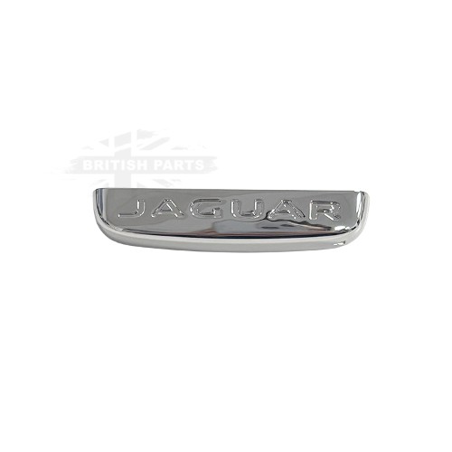 Key Fob End Cap Cover C2D33135