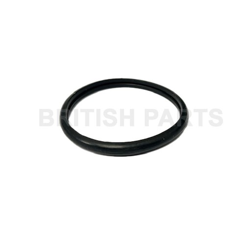 Thermostat O Ring NCA2246BA