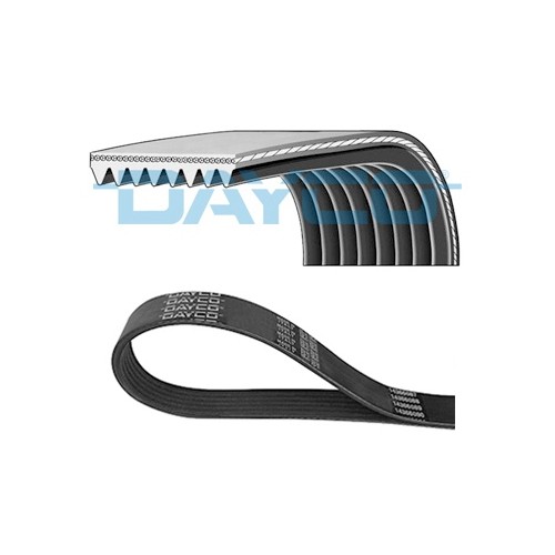 Belt Primary PQS500450