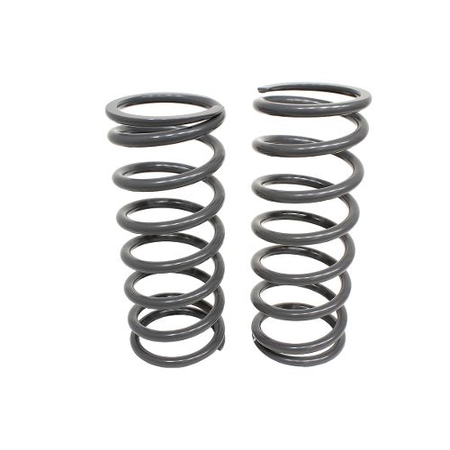 Spring Kit Rear TF021