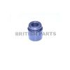 Caliper Piston BPC153