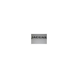Badge Jaguar HJB5981ABG