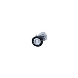 Tensioner LR004667G