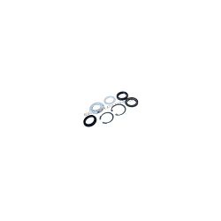 Steering Box Seal Kit STC889