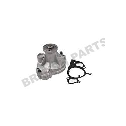 Water Pump & Gasket 4575902