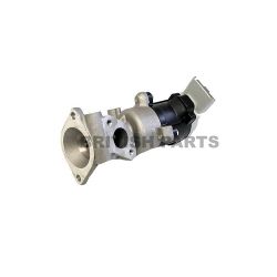 Egr Valve C2C40184