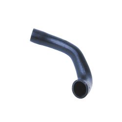 Hose Radiator Lower C41097