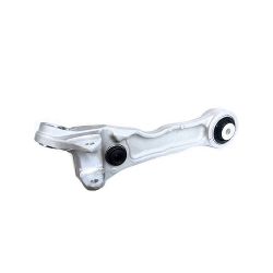 Wishbone Arm C2P24861