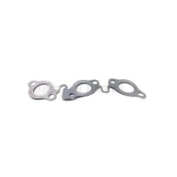 Exhaust Manifold Gasket C2S30281