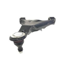 Wishbone Suspension Arm RBJ500850