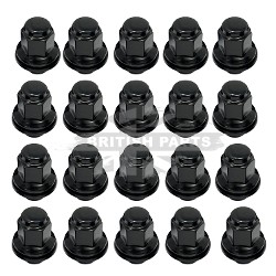 Wheel Nut Set Black 20 pcs