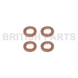Fuel Injector Washer Kit