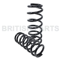Spring-Rear Spring Kit