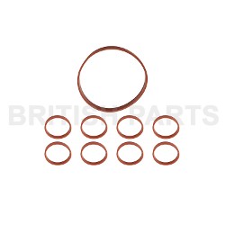 Inlet Manifold Seal Set BPK613-1
