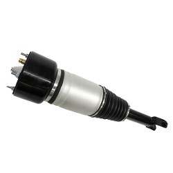 Air Spring C2C41354