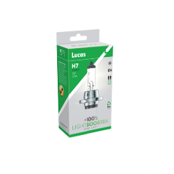 Headlamp Bulb Twin Pack LR000703