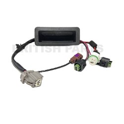 Tailgate Handle Microswitch & wiring LR071911