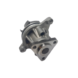 Water Pump LR081578