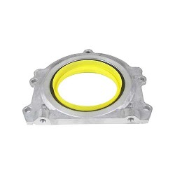 Oil Seal Crankshaft LUF100420