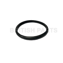 Thermostat O Ring NCA2246BA
