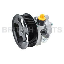Power Steering Pump QVB500400